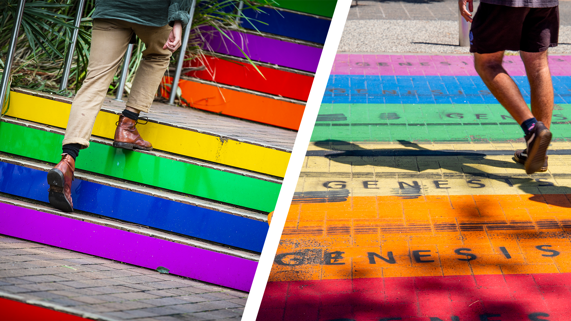 Campus rainbow steps, rainbow crossing vandalised