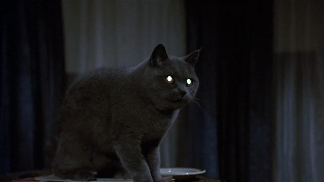 Pet Sematary – Film Review Friday